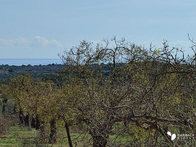 Terreno in vendita di 30000 m² in Contrada Gioi