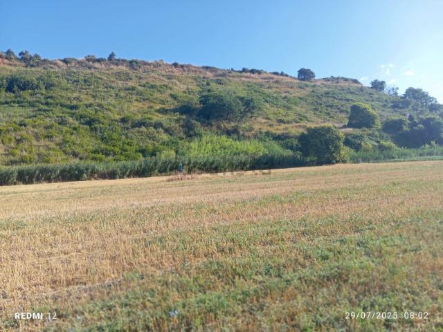 Terreno in vendita di 30000 m² in Strada Provinciale 10