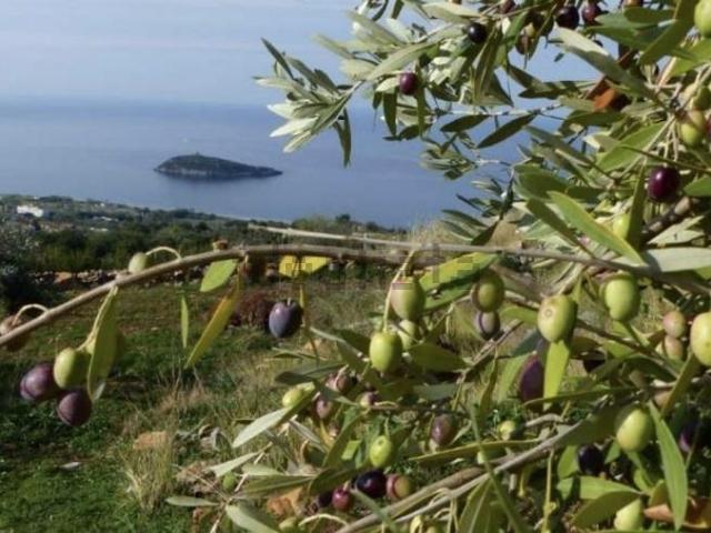 Terreno in vendita di 3000 m² in Contrada Cucco, 97