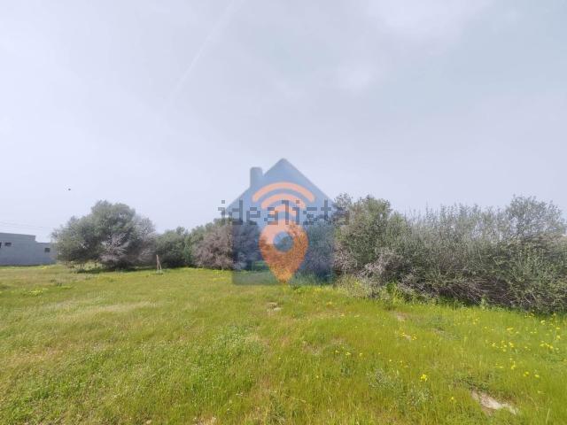 Terreno in vendita di 3000 m² in Contrada Cavallaro, 68