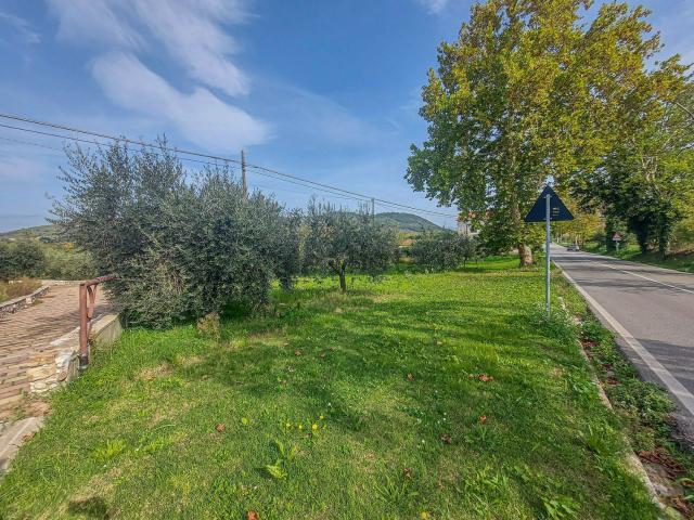 Terreno in vendita di 3000 m² in Contrada Vicenne