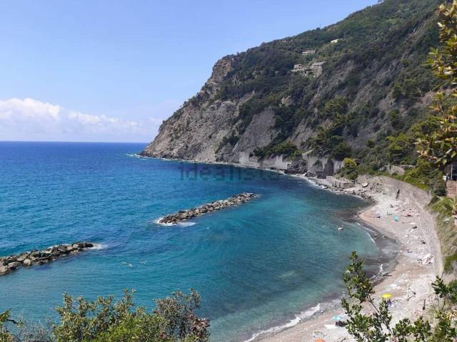 Terreno in vendita di 3000 m² in Località Caneparo