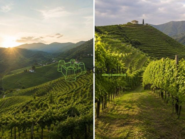 Terreno in vendita di 3000 m² in Strada Barbozza