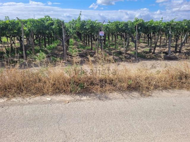 Terreno in vendita di 3000 m² in Strada Comunale Vecchia di Barletta