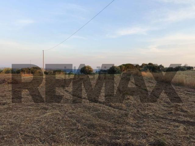 Terreno in vendita di 3000 m² in Via Althea