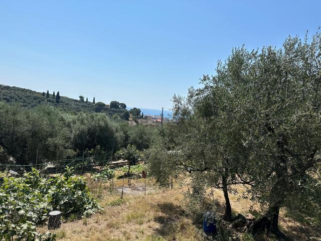 Terreno in vendita di 3000 m² in Via Felice Paglieri