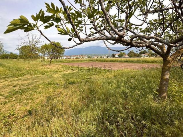Terreno in vendita di 3000 m² in Via Le Carmolle