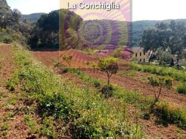 Terreno in vendita di 3000 m² in Via loc. Bagnaia, 17