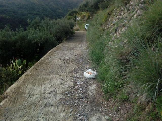 Terreno in vendita di 3000 m² in Via SP35, 22