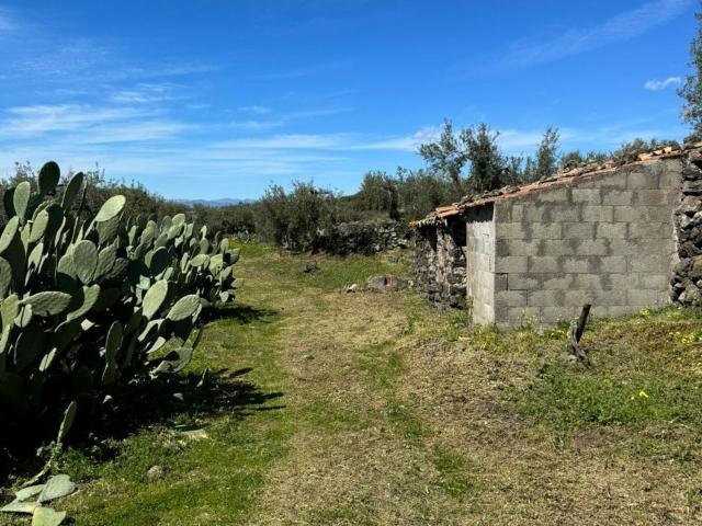 Terreno in vendita di 3000 m²