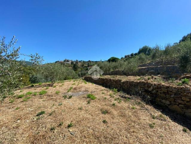 Terreno in vendita di 3000 m²