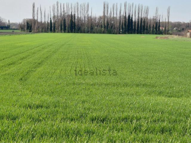 Terreno in vendita di 30023 m² in Via San Gregorio Barbarigo