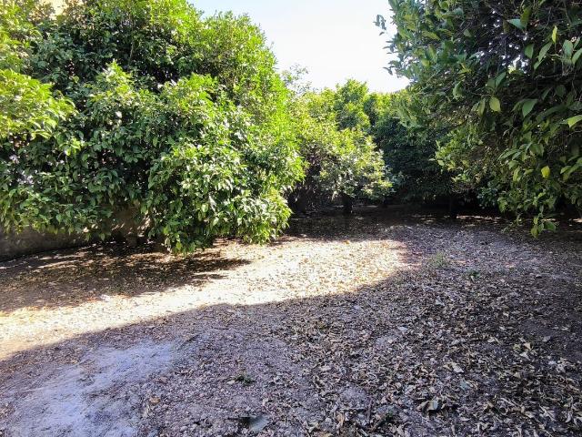 Terreno in vendita di 300 m² in Via Bacch&apos E Cardu