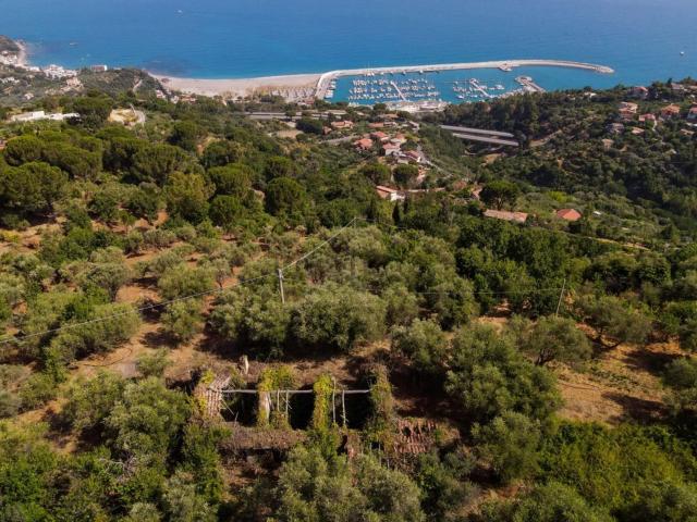 Terreno in vendita di 31400 m² in Contrada livari