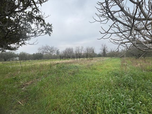Terreno in vendita di 3140 m² in Via Aurora