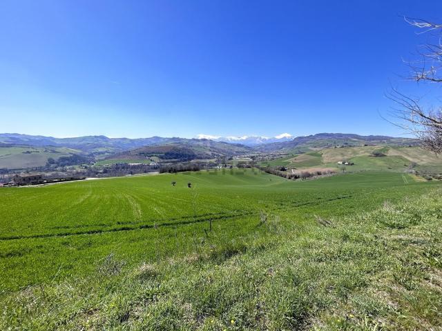 Terreno in vendita di 319000 m² in Contrada Santa Maria