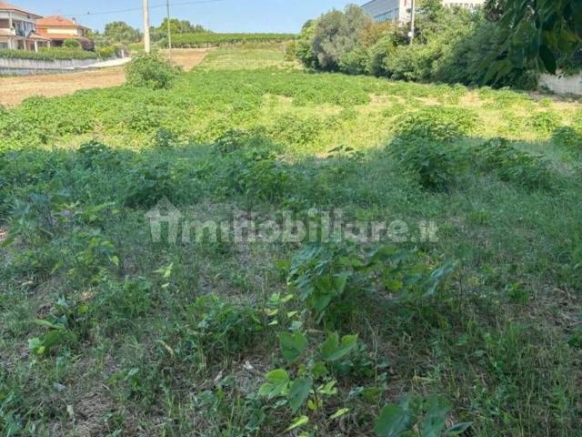 Terreno in vendita di 3190 m² in Contrada Cerreto, 520