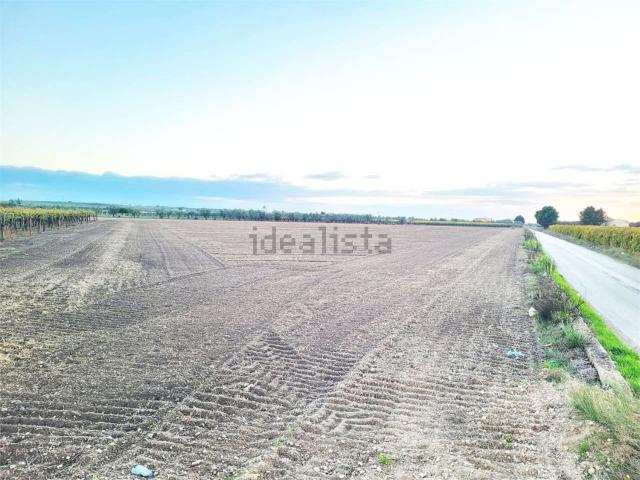 Terreno in vendita di 31000 m² in Via San Severo