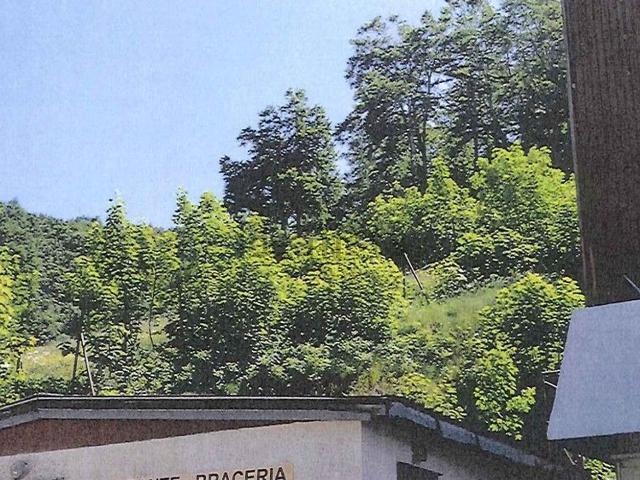Terreno in vendita di 3100 m² in Via Tre Faggi