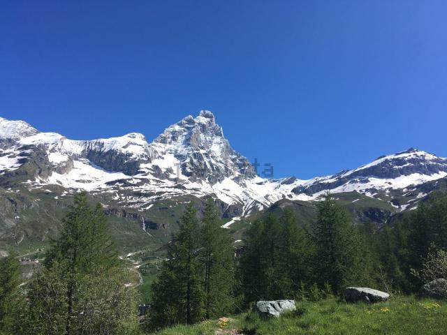 Terreno in vendita di 3127 m² in Strada Privata Carlo Lavezzari