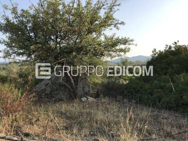 Terreno in vendita di 32550 m² in Via Roma