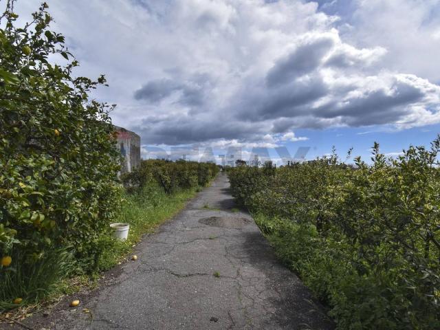 Terreno in vendita di 32582 m² in Contrada Vignagrande, 34