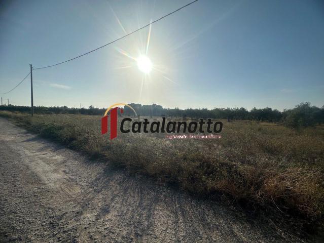 Terreno in vendita di 3260 m² in Contrada LATOMIE