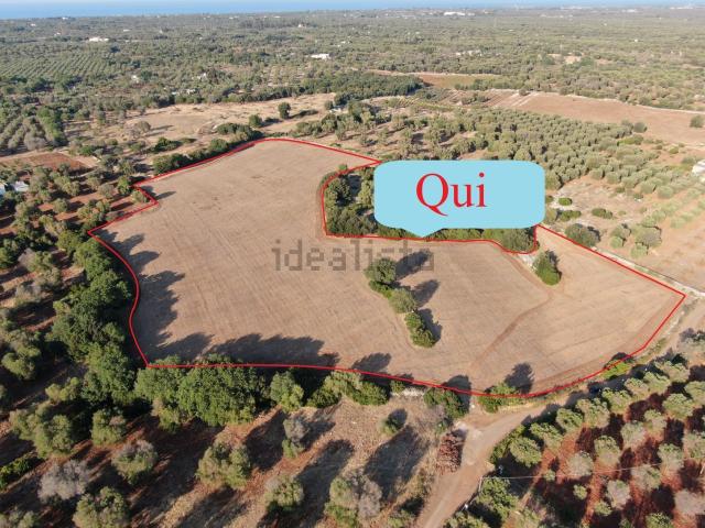 Terreno in vendita di 32696 m² in Contrada Maresca