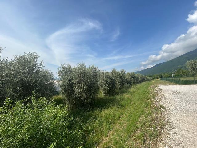 Terreno in vendita di 3278 m² in Via Santa Lucia
