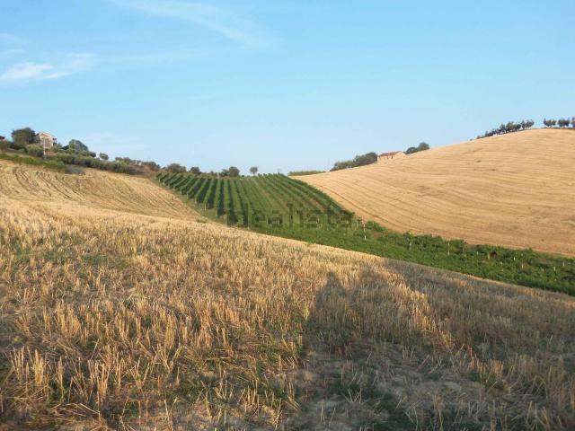 Terreno in vendita di 32950 m² in Contrada Collelungo