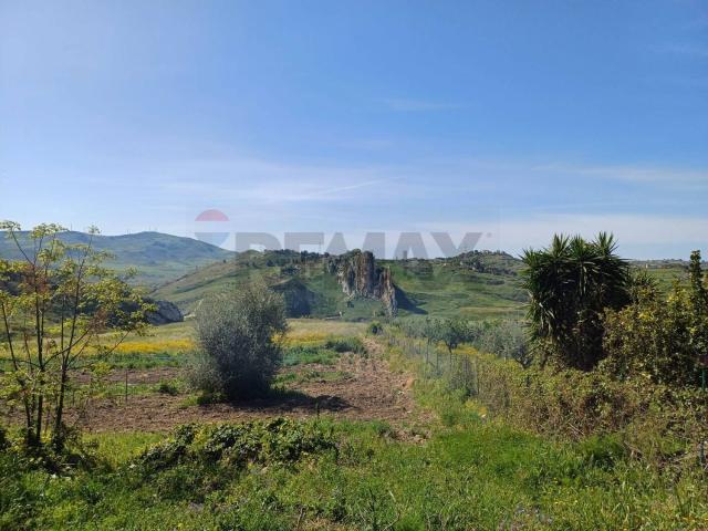 Terreno in vendita di 32000 m²