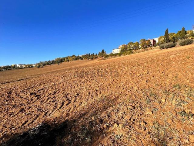 Terreno in vendita di 32000 m² in Via Marchesi