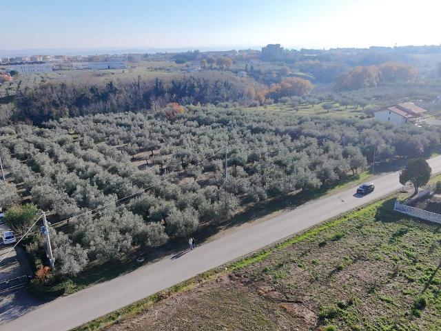 Terreno in vendita di 32000 m² in Via Perilli