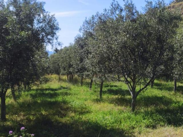 Terreno in vendita di 3200 m² in Via Mortara San Leo, 10