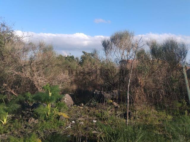 Terreno in vendita di 3200 m²