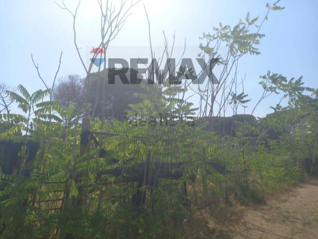 Terreno in vendita di 3211 m² in Via Solfegna Cantoni