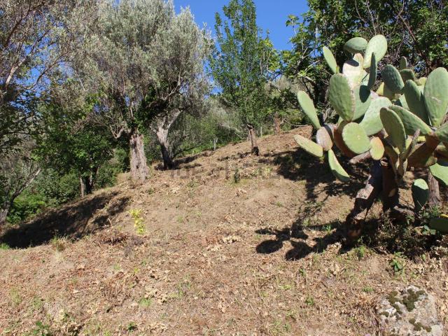 Terreno in vendita di 3219 m² in Contrada S. Tecla