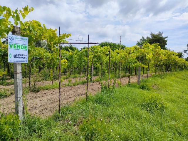 Terreno in vendita di 3220 m² in Via Turistica del Lago