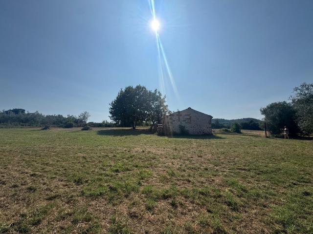 Terreno in vendita di 3230 m² in Via del Mulinello