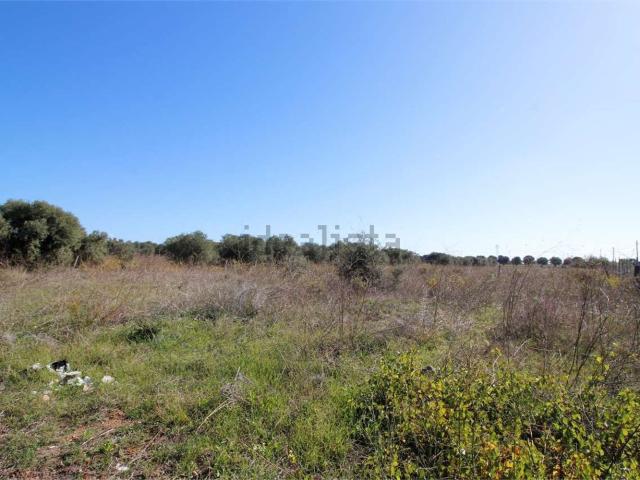 Terreno in vendita di 3346 m²
