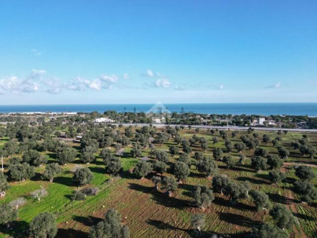Terreno in vendita di 3346 m²