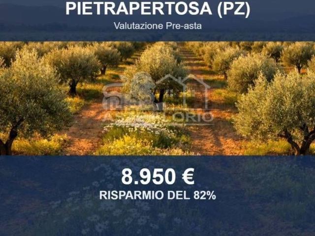 Terreno in vendita di 33530 m² in Strada Provinciale di Pietrapertosa