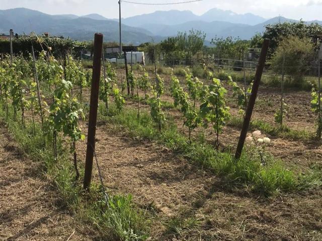 Terreno in vendita di 3370 m²