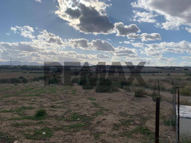 Terreno in vendita di 33855 m² in Strada Vicinale di San Lorenzo