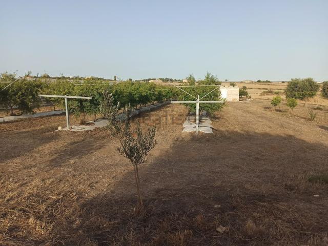 Terreno in vendita di 3394 m² in Contrada Cozzo Croce