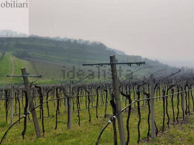 Terreno in vendita di 33000 m²