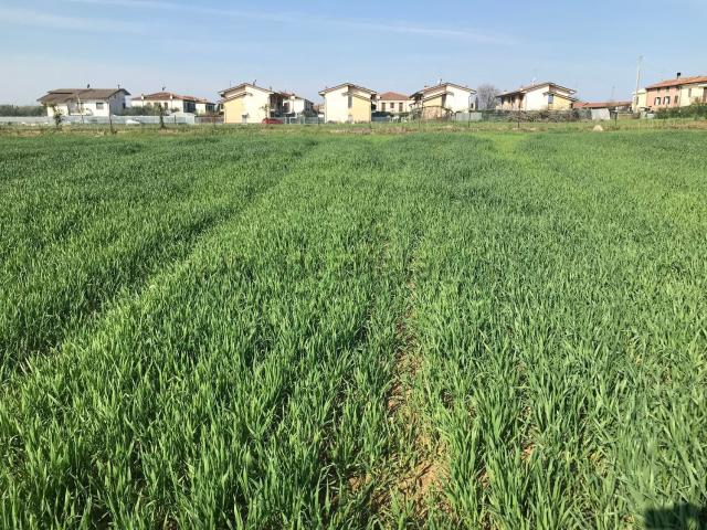 Terreno in vendita di 33000 m² in Via Albara