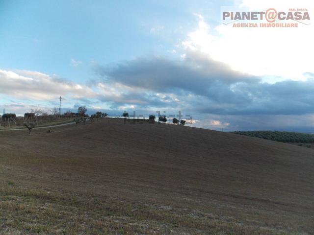 Terreno in vendita di 33000 m² in Via Ferretti