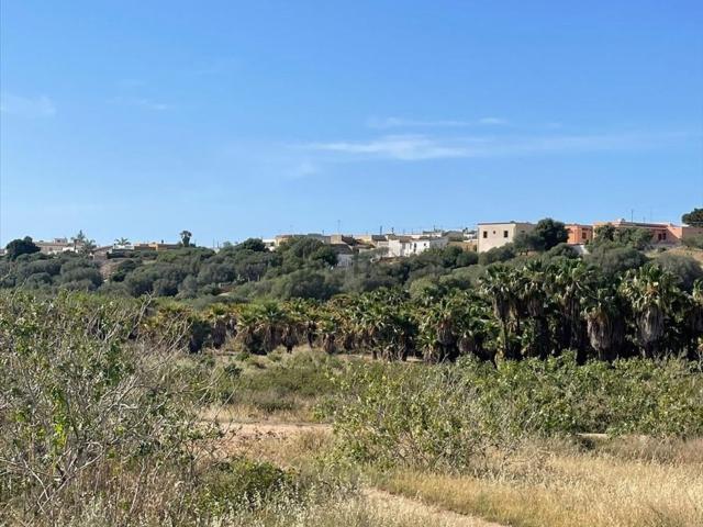 Terreno in vendita di 3300 m²