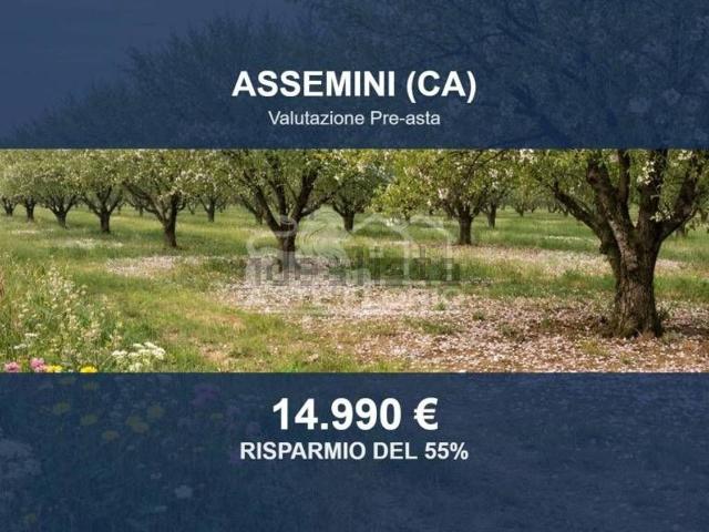 Terreno in vendita di 33190 m² in Località Marzaloi